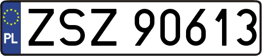 ZSZ90613