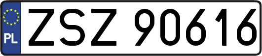ZSZ90616