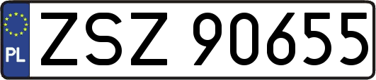 ZSZ90655