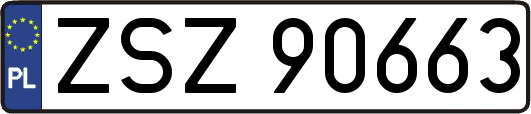 ZSZ90663