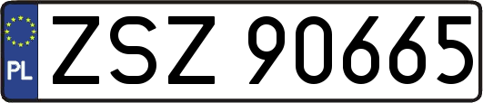 ZSZ90665