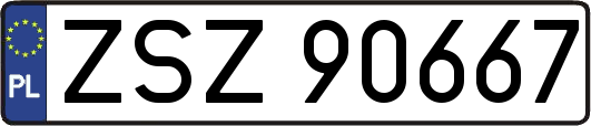 ZSZ90667