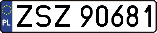 ZSZ90681
