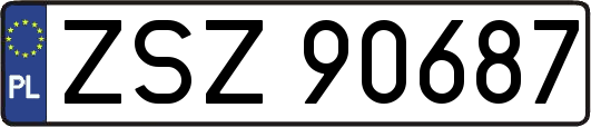 ZSZ90687