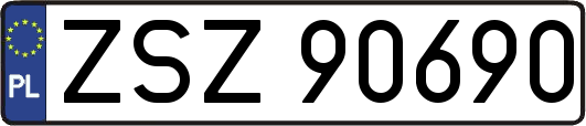 ZSZ90690