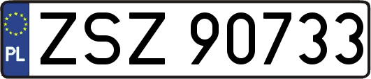 ZSZ90733