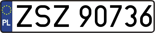 ZSZ90736