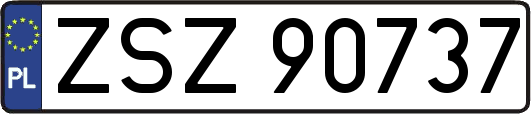 ZSZ90737
