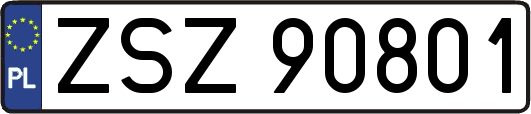 ZSZ90801