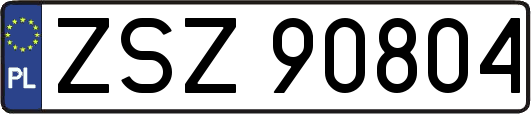 ZSZ90804