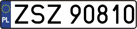 ZSZ90810