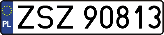 ZSZ90813