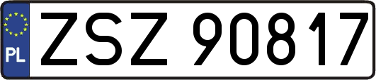 ZSZ90817
