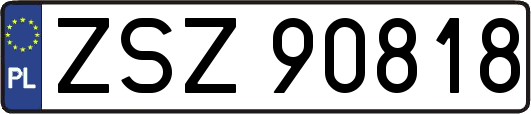 ZSZ90818