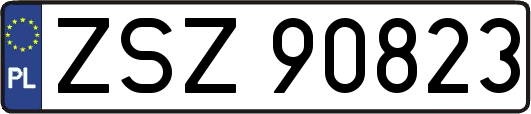ZSZ90823