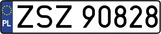 ZSZ90828
