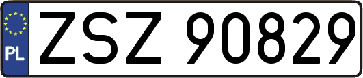 ZSZ90829