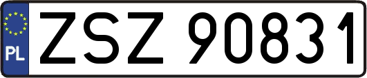 ZSZ90831