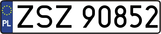 ZSZ90852