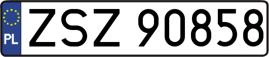 ZSZ90858