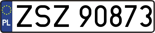 ZSZ90873