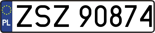 ZSZ90874