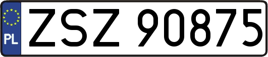 ZSZ90875