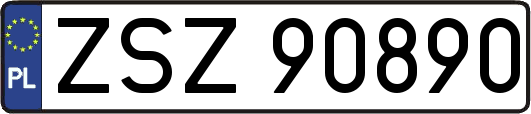 ZSZ90890