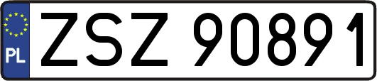 ZSZ90891