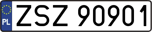 ZSZ90901