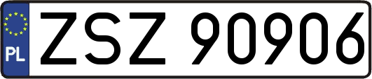 ZSZ90906