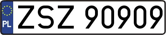 ZSZ90909