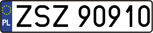 ZSZ90910