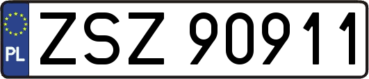 ZSZ90911