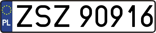 ZSZ90916