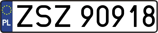 ZSZ90918