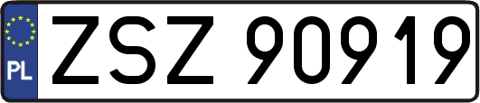 ZSZ90919