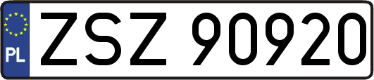 ZSZ90920