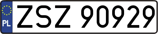 ZSZ90929