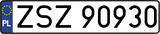 ZSZ90930