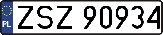 ZSZ90934