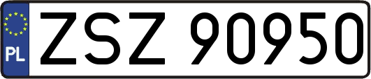 ZSZ90950