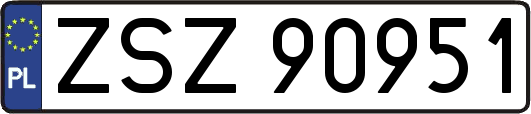 ZSZ90951