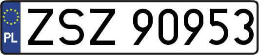 ZSZ90953