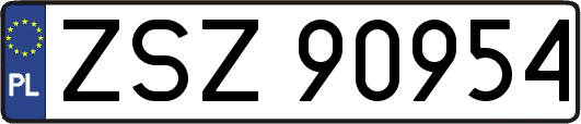 ZSZ90954