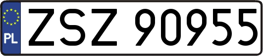 ZSZ90955