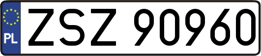 ZSZ90960