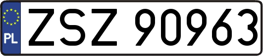 ZSZ90963