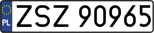 ZSZ90965