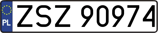 ZSZ90974